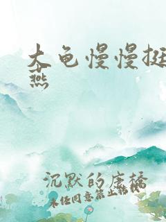 大龟慢慢挺进张燕