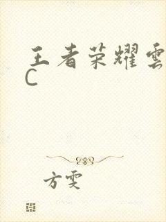 王者荣耀云缨被C