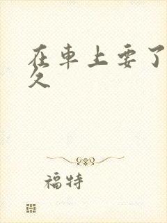 在车上要了我很久