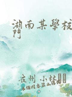 湖南某学校秋千门