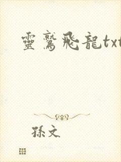 灵鹫飞龙txt