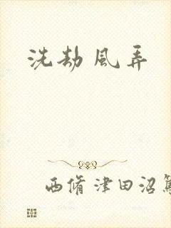 洗劫 风弄