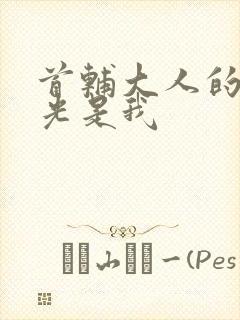 首辅大人的白月光是我