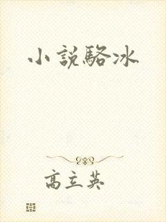 小说骆冰