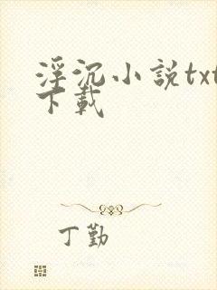 浮沉小说txt下载