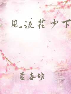风流花少下载