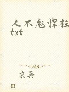 人不彪悍枉少女txt