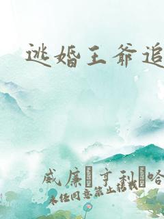逃婚王爷追逃妃