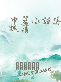 中篇小说集随风飘荡