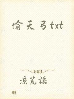 偷天弓txt