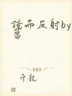 镜面反射by九葛