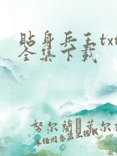 贴身兵王txt全集下载