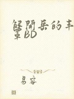 解开岳的丰满奶罩BD