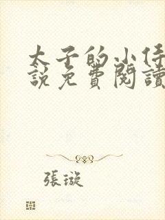 太子的小侍妾小说免费阅读全文