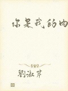 你是我的肉便器