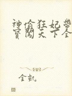 神偷狂妃带着宝宝闯天下全文免费阅读