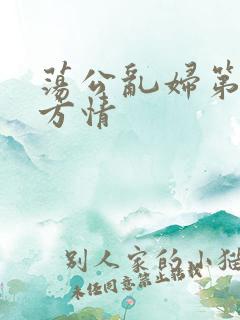 荡公乱妇第1章方情