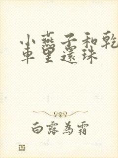 小燕子和乾隆在车里还珠