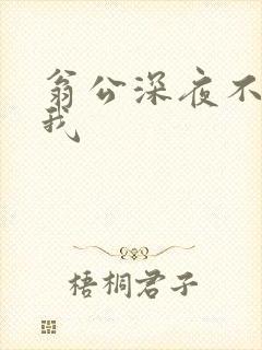 翁公深夜不停要我