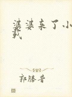 婆婆来了小说下载