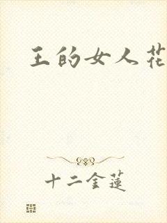 王的女人花倾国