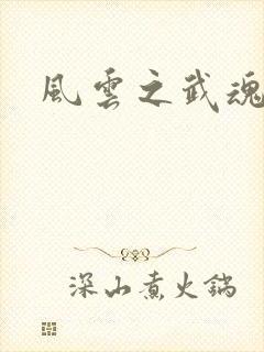 风云之武魂