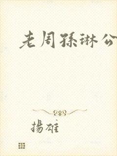 老周孙琳公交车