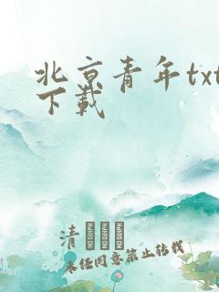 北京青年txt下载