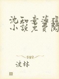 沈知意薄砚霆的小说免费阅读