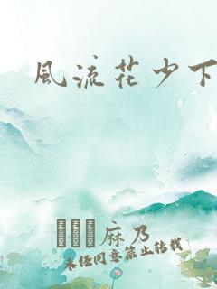 风流花少下载