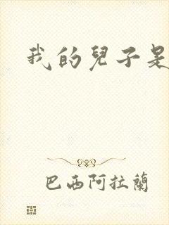 我的儿子是雍正