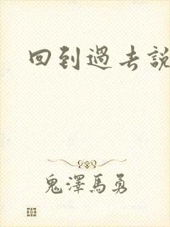 回到过去说爱你