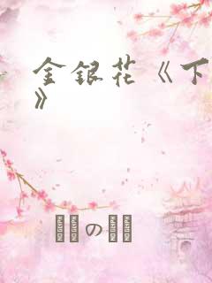 金银花《下厨房》