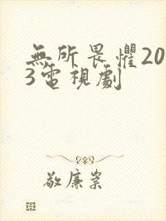 无所畏惧2023电视剧