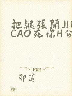 把腿张开JI巴CAO死你H公园