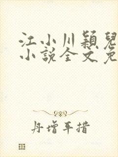 江小川颖儿穿越小说全文免费阅读