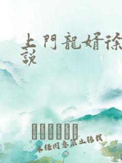 上门龙婿徐阳小说