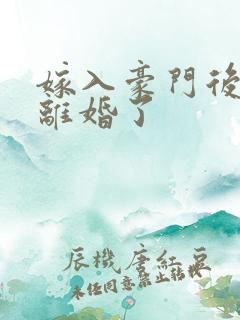 嫁入豪门后我又离婚了