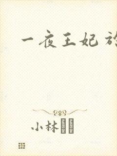 一夜王妃 于墨