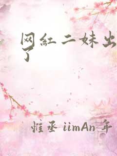 网红二妹出啥事了