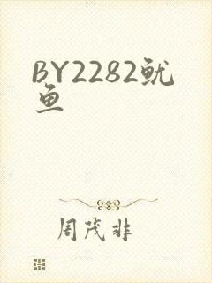 BY2282鱿鱼