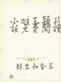 小雄王颖莉的小说免费阅读全文