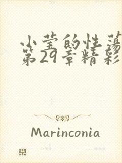 小莹的性荡生活第29章精彩章节