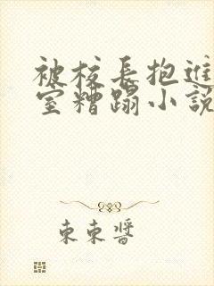 被校长抱进办公室糟蹋小说