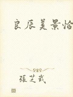 良辰美景恰似你