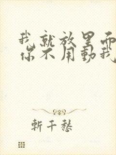 我就放里面不动你不用动我动