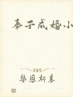 奉子成婚小说