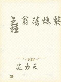 色翁荡熄系列借种