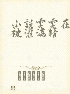 小说雯雯在工地被灌满精