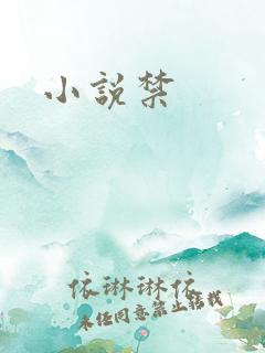 小说禁